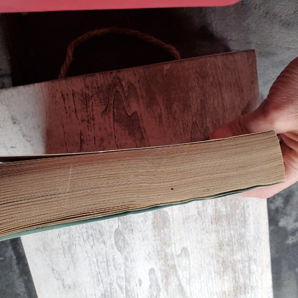 Books The Sherbrooke Twins by Catherine Coulter - Picture 4 of 4